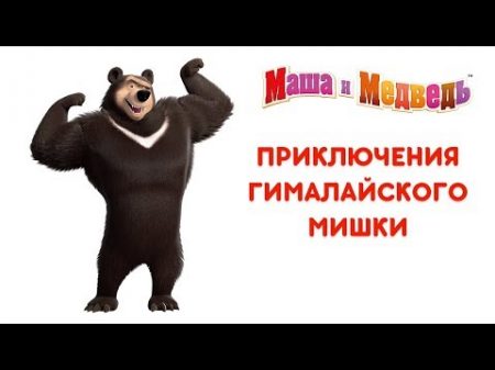 Маша и Медведь. Приключения Гималайского Мишки. Все серии подряд!