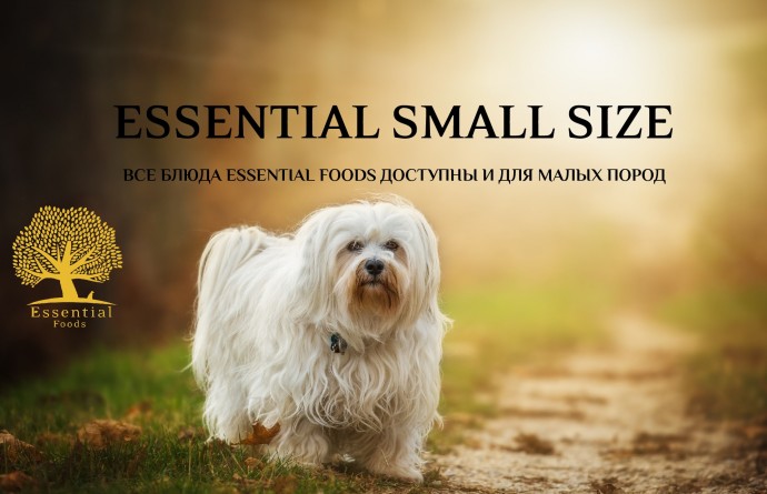Essential Foods (Denmark) - лучшая еда для собак и котов в Европе. Альтернатива Acana, Orijen и отсутствие аллергии