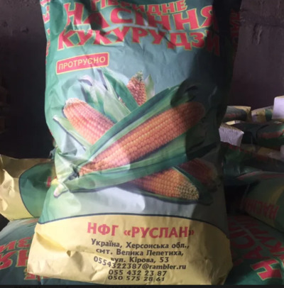 Семена кукурузы, насіння кукурудзи ТАР-349