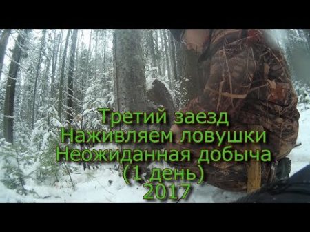 Третий заезд Наживляем ловушки Неожиданная добыча 1 день 2017