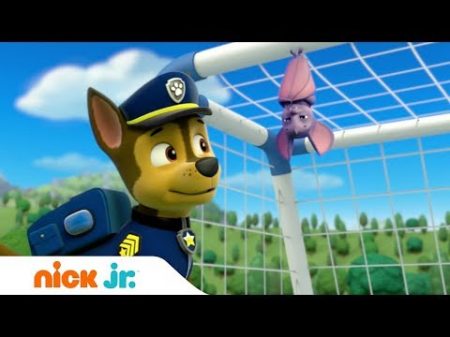 Щенячий патруль Лучшее Хороший спортсмен Nick Jr Россия