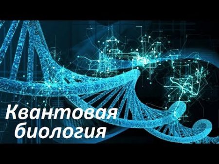 Квантовая биология Квантовые гены живых организмов