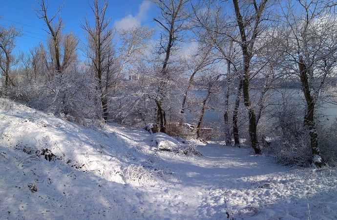 На заснеженном берегу острова Хортица